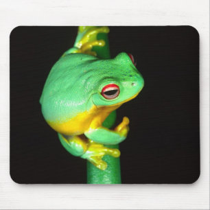 Australischer Roter Laubfrosch, Litoria chloris, Mousepad