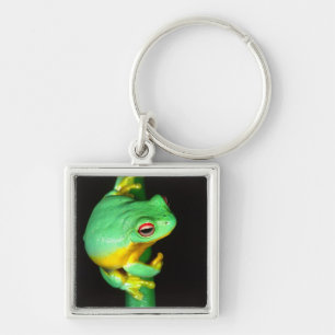 Australischer Roter Laubfrosch, Litoria chloris, Schlüsselanhänger