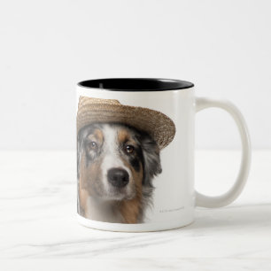 Australischer Schäfer (10 Monate alte) tragendes  Zweifarbige Tasse