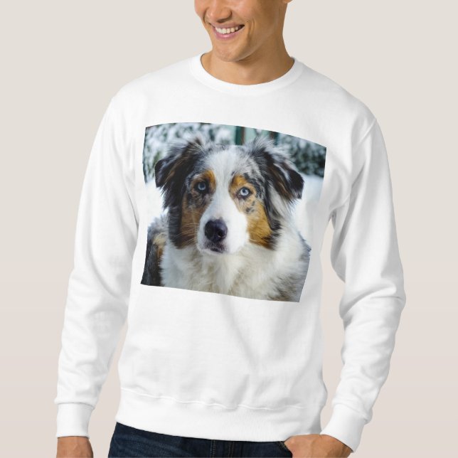 australischer Schäfer blaues merle 3 Sweatshirt (Vorderseite)
