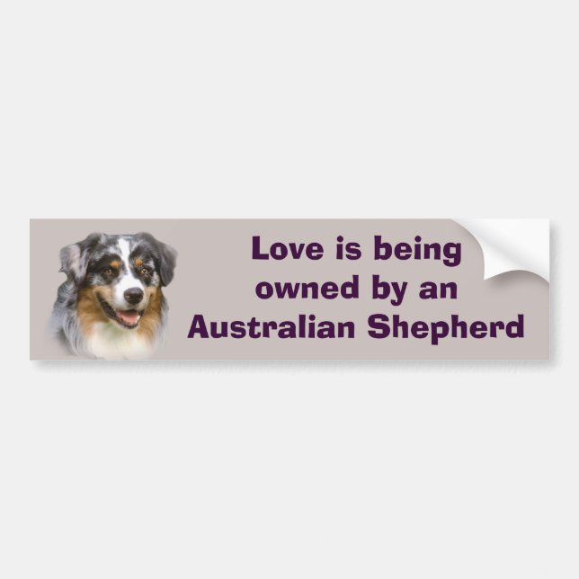 Australischer Schäfer-fabelhafter Autoaufkleber (Vorne)
