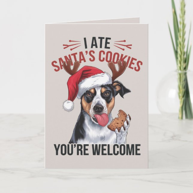 Australischer Schäfer Funny Dog Weihnachtskarte Feiertagskarte (Vorderseite)