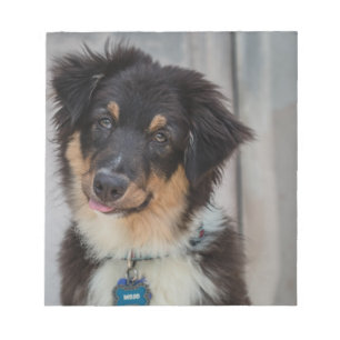 Australischer Schäfer-Hund Notizblock