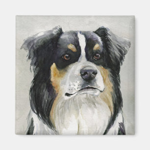 Australischer Schäfer-Hundekunst-Magnet Magnet