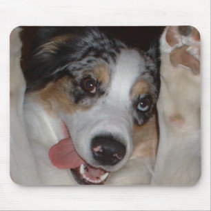 Australischer Schäfer Mousepad