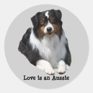 Australischer Schäfer-Wächter-Aufkleber Runder Aufkleber