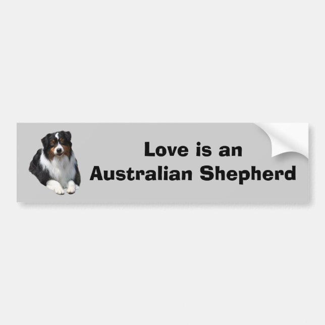 Australischer Schäfer-Wächter-Autoaufkleber Autoaufkleber (Vorne)
