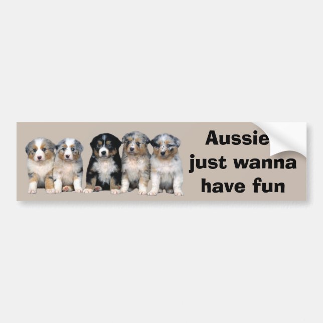 Australischer Schäfer-Welpen-Autoaufkleber Autoaufkleber (Vorne)