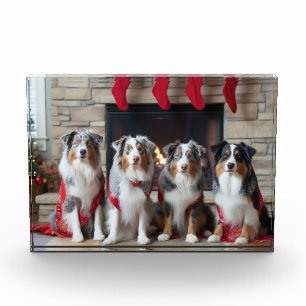 Australischer Schäferhund am Kamin Weihnachten Fotoblock