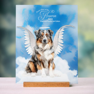 Australischer Schäferhund Angel Dog Name Pet Memor Acrylschild