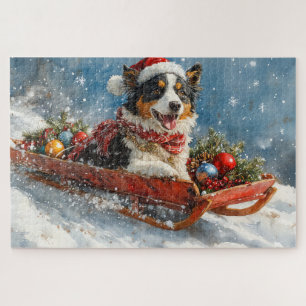 Australischer Schäferhund auf Schlitten Weihnachte
