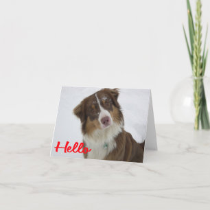 Australischer Schäferhund Aussie Hund Hallo Liebe Karte
