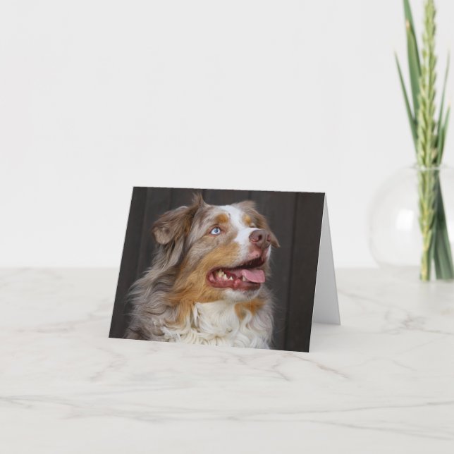 Australischer Schäferhund Aussie Welpe Dog Liebe H Karte (Vorderseite)