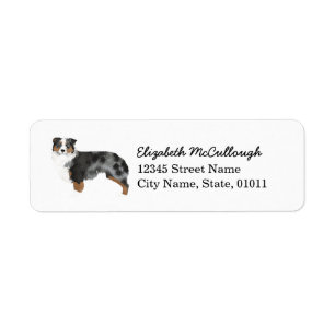 Australischer Schäferhund Blue Merle-Adressetiket