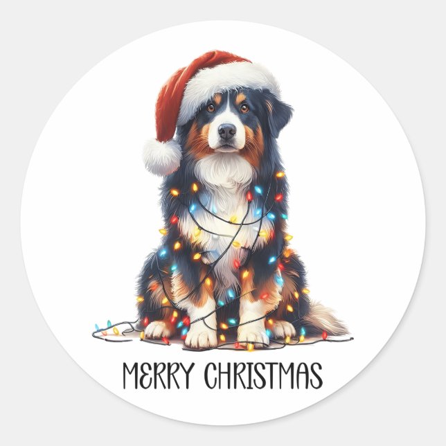 Australischer Schäferhund Dog im Weihnachtslicht u Runder Aufkleber (Vorderseite)