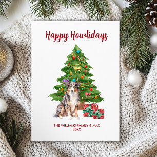 Australischer Schäferhund - Familie Weihnachten