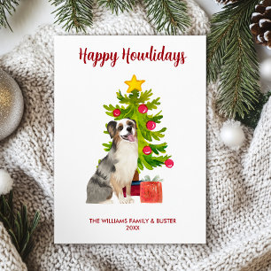Australischer Schäferhund - Familie Weihnachten