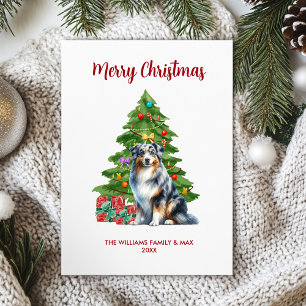 Australischer Schäferhund - Familie Weihnachten