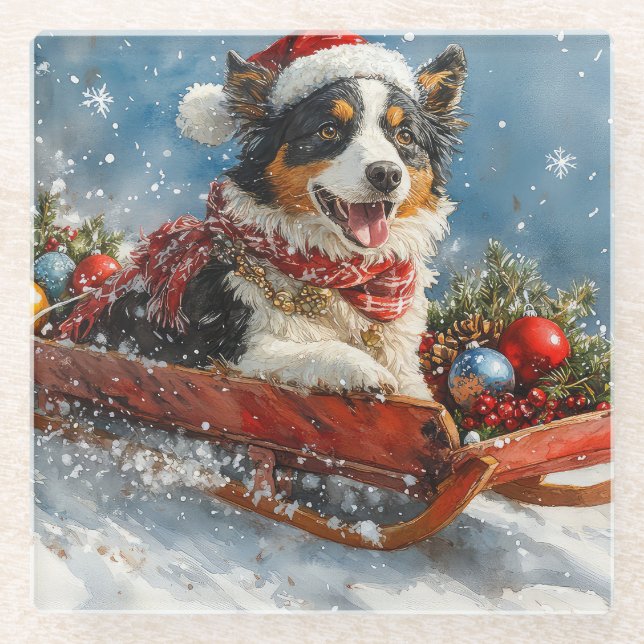 Australischer Schäferhund Hund in Sledge Chriistma Glasuntersetzer (Vorderseite)