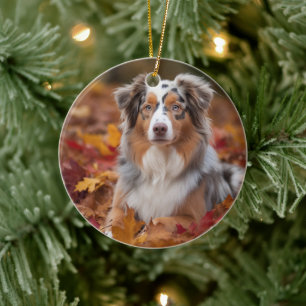 Australischer Schäferhund im Herbstfall Inspiriert Keramik Ornament