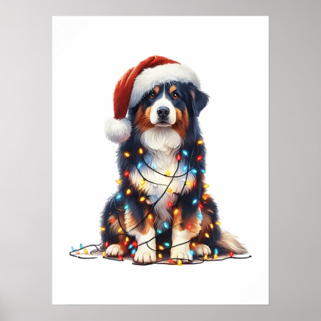 Australischer Schäferhund im Weihnachtslicht einge Poster (Vorne)