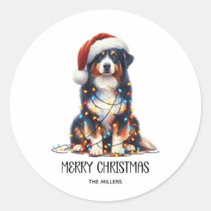 Australischer Schäferhund im Weihnachtslicht einge Runder Aufkleber