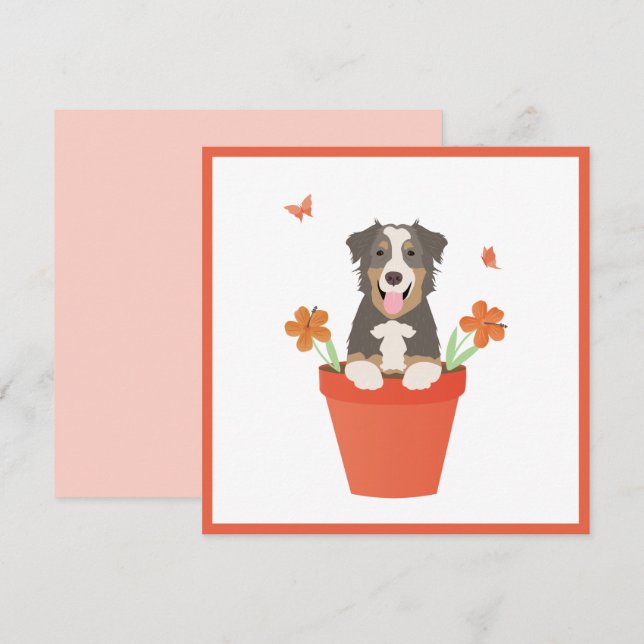 Australischer Schäferhund in Blume Pot Karte (Vorne/Hinten)