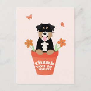 Australischer Schäferhund in Blumenkübel Danke Postkarte