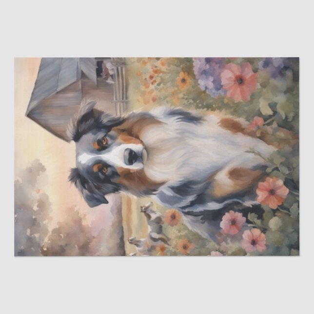 Australischer Schäferhund in einem rustikalen Ambi Seidenpapier (Vorderseite)