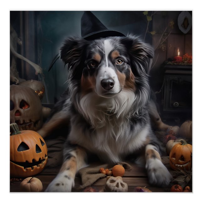 Australischer Schäferhund Kürbisse Halloween Gruse Poster (Vorderseite)