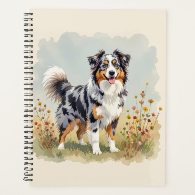 Australischer Schäferhund Merle Langschwanz Planer (Vorderseite)