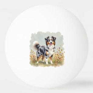Australischer Schäferhund Merle Langschwanz Tischtennisball