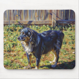 Australischer Schäferhund Merle Mousepad