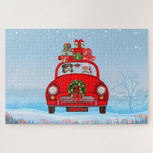 Australischer Schäferhund mit dem Weihnachtsmann