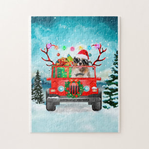 Australischer Schäferhund mit Weihnachtsgeschenken