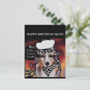 AUSTRALISCHER SCHÄFERHUND  POSTKARTE
