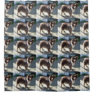 Australischer Schäferhund Red Tri Liebe mit Bild Duschvorhang