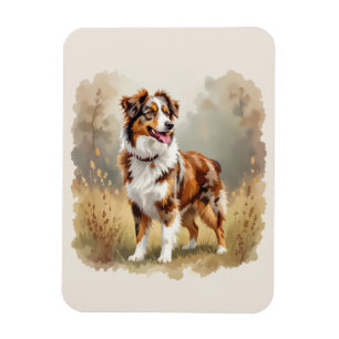 Australischer Schäferhund Rot Merle Aussie Magnet