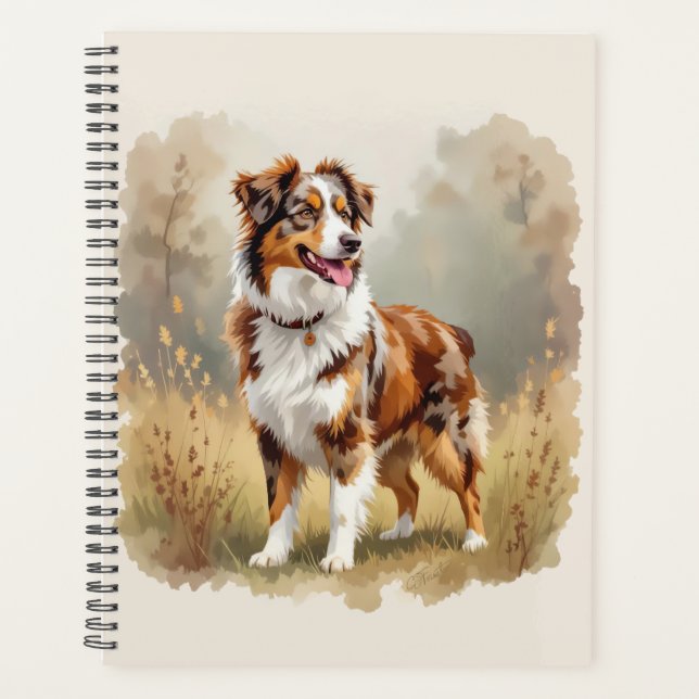 Australischer Schäferhund Rot Merle Aussie Planer (Vorderseite)