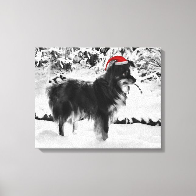 Australischer Schäferhund Rote Weihnachtsmannmütze Leinwanddruck (Vorderseite)