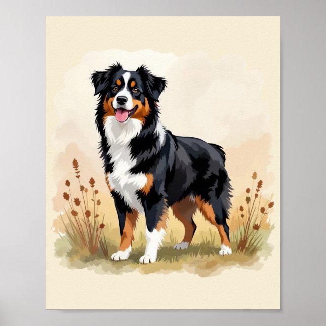 Australischer Schäferhund Schwarz Tricolor Aussie  Poster (Vorne)