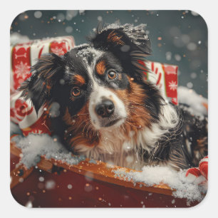 Australischer Schäferhund Weihnachtsfest Quadratischer Aufkleber