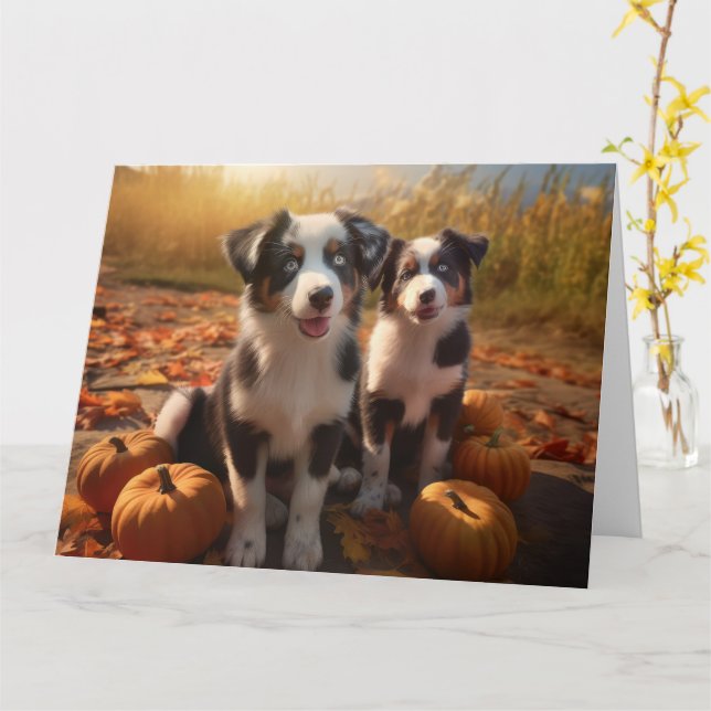 Australischer Schäferhund Welpe Autumn Delight Pum Karte (Gelbe Blume)