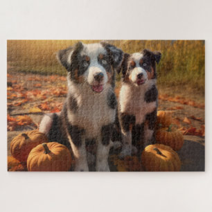 Australischer Schäferhund-Welpe Herbstfreude Kürbi