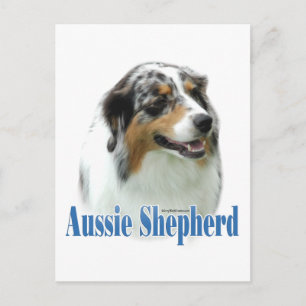 Australischer Schäfername Postkarte