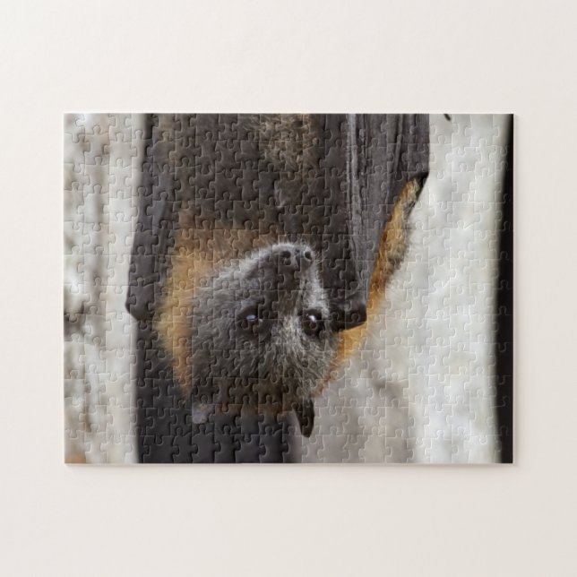 Australischer Schläger (Horizontal)