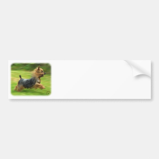 Australischer seidiges Terrier-Entwurf Autoaufkleber (Vorne)