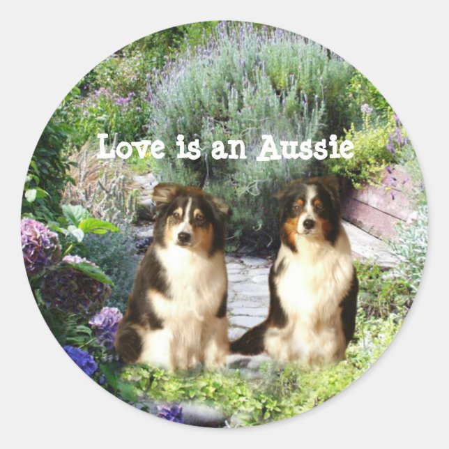 Australischer Shepherd Garden Sticker (Vorderseite)