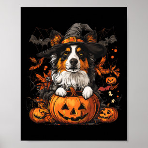 Australischer Shepherd Pumpkin Halloween-Erntedank Poster