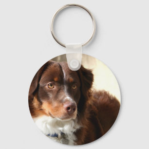 Australischer Shepherd-Schlüsselanhänger Schlüsselanhänger